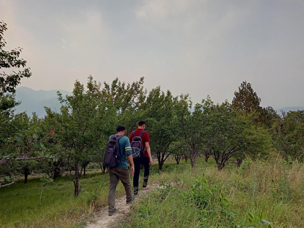 Vista Hostel Jeolikote, Nainital Patwa Dunga Экстерьер фото