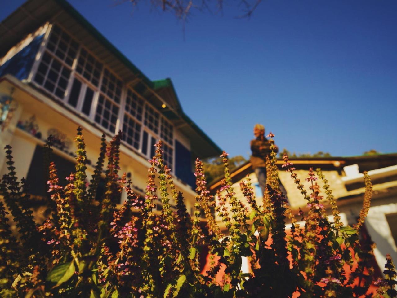 Vista Hostel Jeolikote, Nainital Patwa Dunga Экстерьер фото