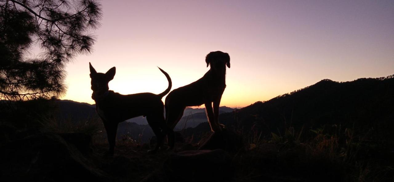 Vista Hostel Jeolikote, Nainital Patwa Dunga Экстерьер фото